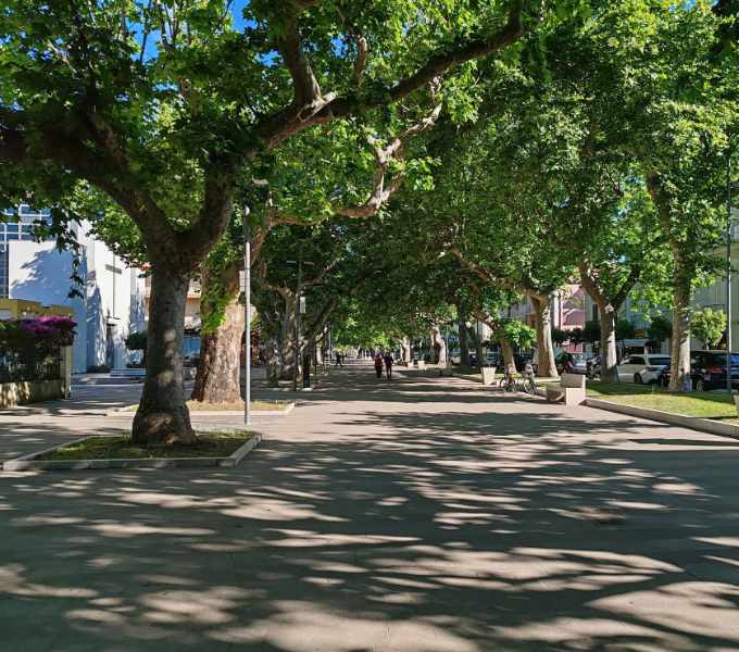 Viale della Lilbertà